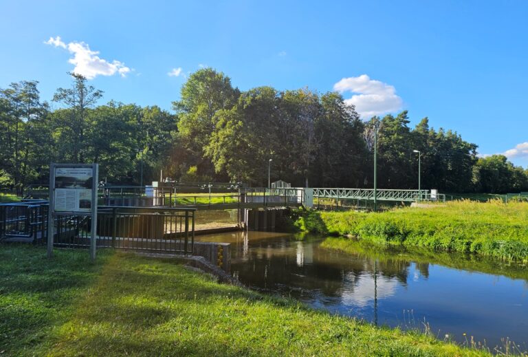 Wasser, Wald und wilde Tiere
