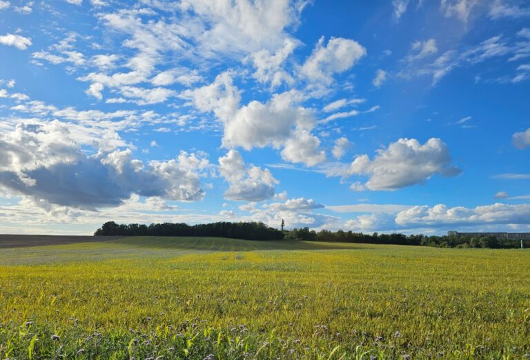 Vom Hopfenbachtal in die Berge der Großenhainer Pflege