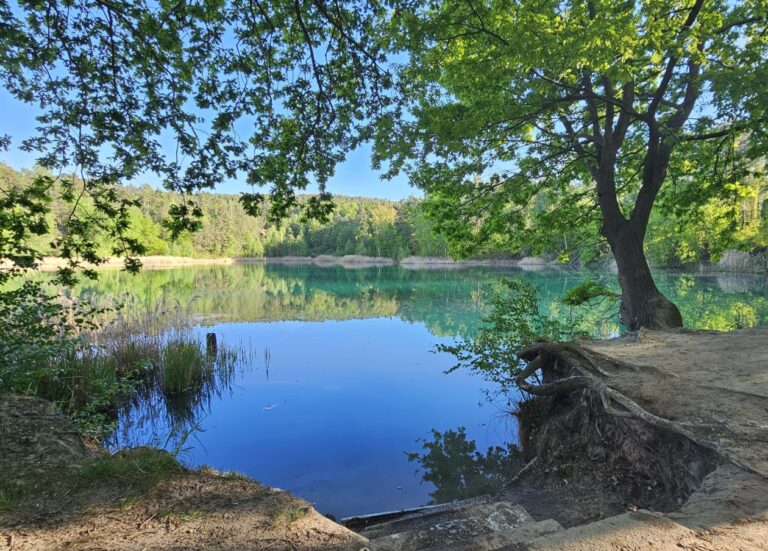 Eine Wanderung zwischen Vergangenheit, Gegenwart und Zukunft