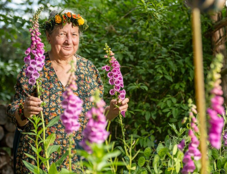 Tour durch den Märchenwald